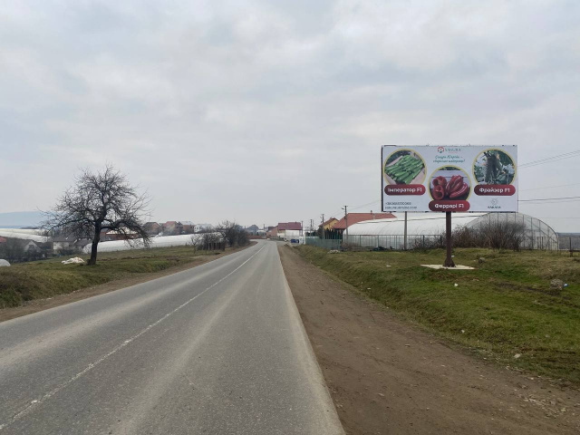 Щит 6x3,  Великі Комяти,Вул.  Волошина 